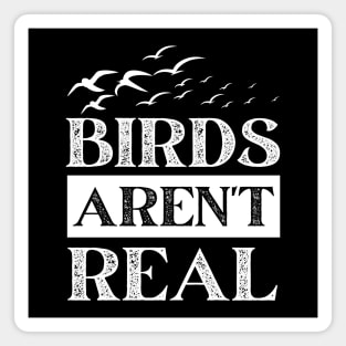 Birds Aren't Real Magnet